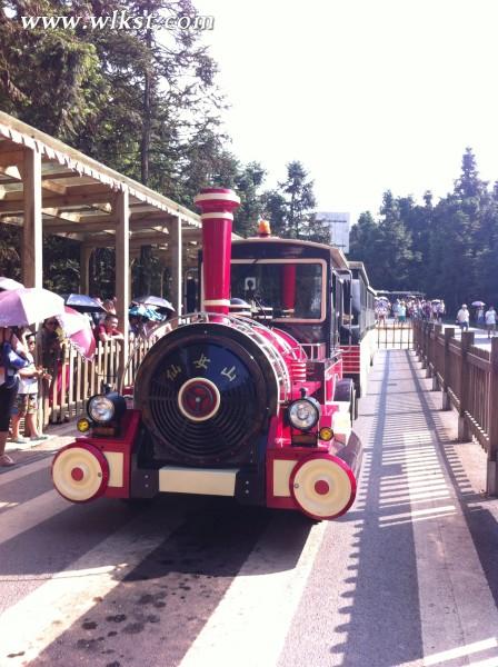 仙女山的小火車，有了它麻麻再也不用擔(dān)心走路走到腿軟了
