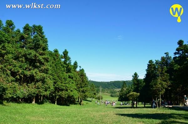 登上山頂，便是南國大草原